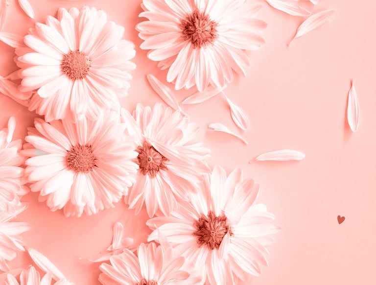 Fleurs roses